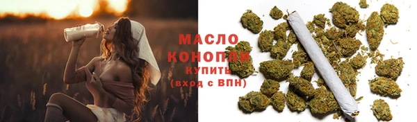 амф Бородино