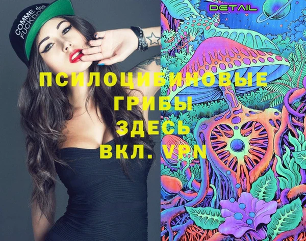 ПСИЛОЦИБИНОВЫЕ ГРИБЫ Волоколамск