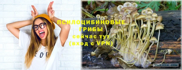 каннабис Беломорск