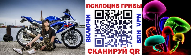 Псилоцибиновые грибы Psilocybe  Заполярный 